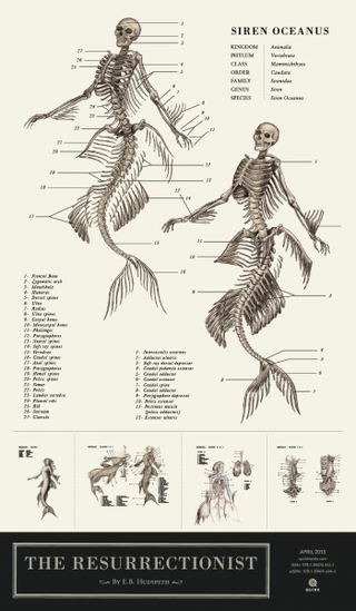 Illustration for article titled Mythological creatures are cooler when they're anatomically correct